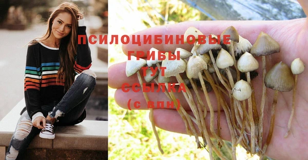 мефедрон мука Киреевск