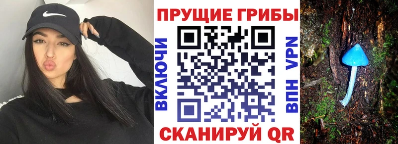 Галлюциногенные грибы мухоморы  Купить где  Чебоксары 